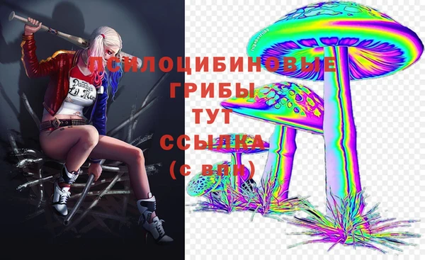 МДПВ Арсеньев