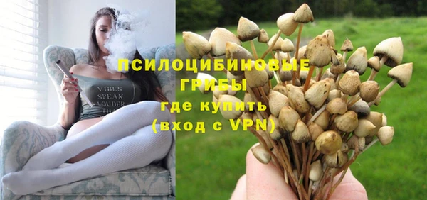 apvp Аркадак