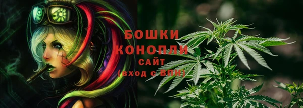МДПВ Арсеньев
