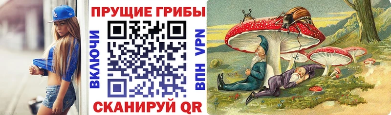 Купить  Урень  Псилоцибиновые грибы MAGIC MUSHROOMS 