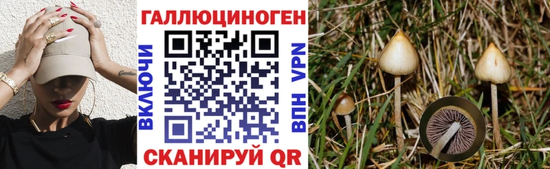 Галлюциногенные грибы мицелий Урень