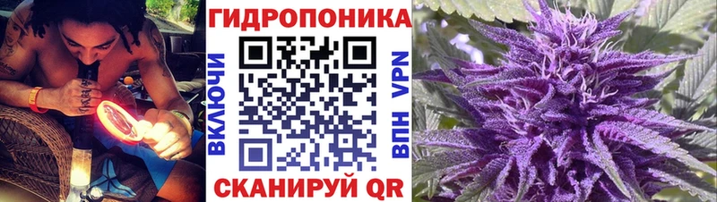 Купить закладки  Урень  Бошки Шишки Bruce Banner 